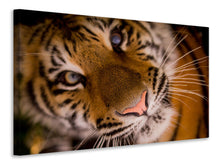 Load image into Gallery viewer, Canvas print Tiger face
