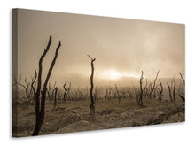 Load image into Gallery viewer, Canvas print Dead land
