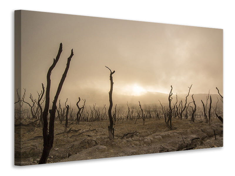 Canvas print Dead land