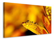Canvas print Drops Close up