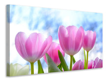 Load image into Gallery viewer, Canvas print Tulips in nature
