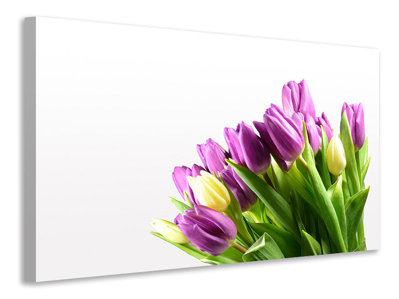 Canvas print Tulips in XL