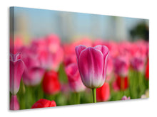 Load image into Gallery viewer, Canvas print Tulip field in pink-red
