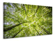 Canvas print Under the treetops