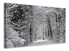 Load image into Gallery viewer, Canvas print Enchanted winter forest
