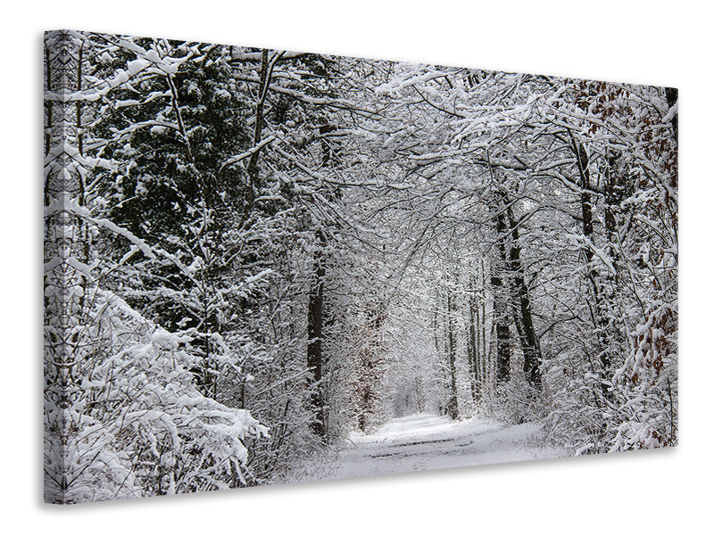 Canvas print Enchanted winter forest