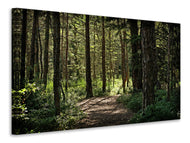 Canvas print Many trees