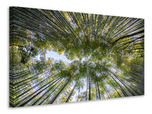 Load image into Gallery viewer, Canvas print Many treetops
