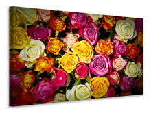 Load image into Gallery viewer, Canvas print Many colorful rose petals
