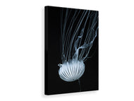 Canvas print Beware jellyfish