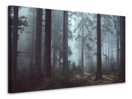 Canvas print Forest in the fog