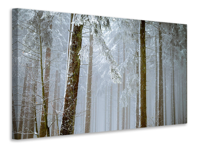 Canvas print Forest in winter