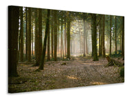Canvas print Forest run