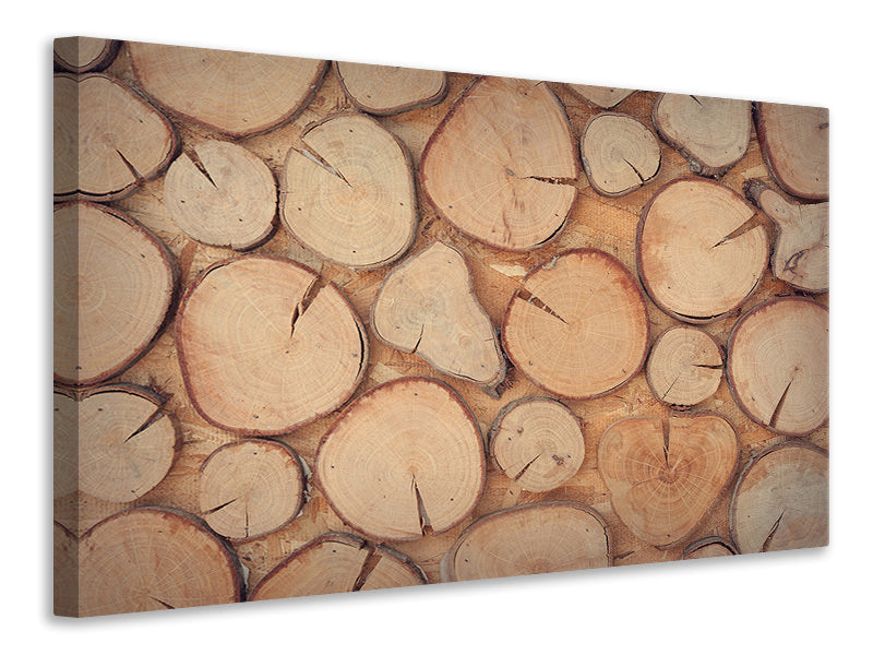 Canvas print Wall trees