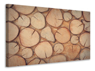 Canvas print Wall trees