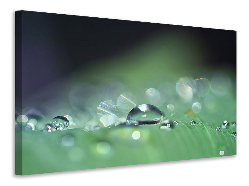 Canvas print Drops of water in XXL