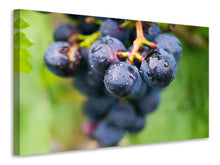 Load image into Gallery viewer, Canvas print grapes
