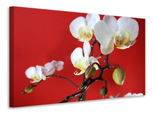 Load image into Gallery viewer, Canvas print White orchids on red wall
