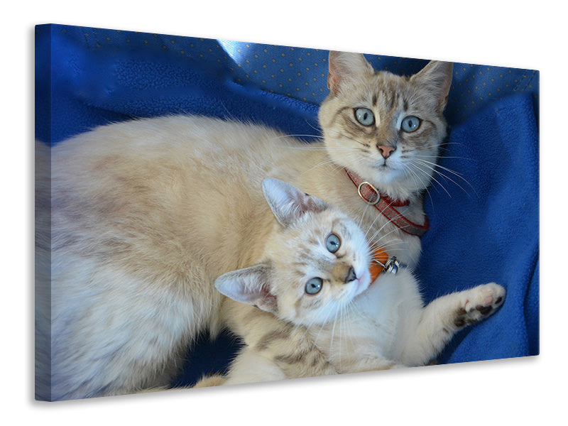 Canvas print Like mom ...