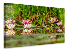 Load image into Gallery viewer, Canvas print Wild water lilies
