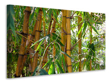 Load image into Gallery viewer, Canvas print Wild bamboo
