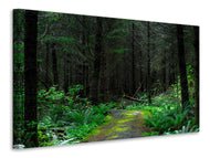 Canvas print Wild forest