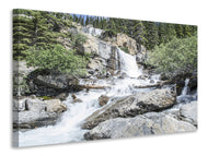 Canvas print Wild waterfall in the forest