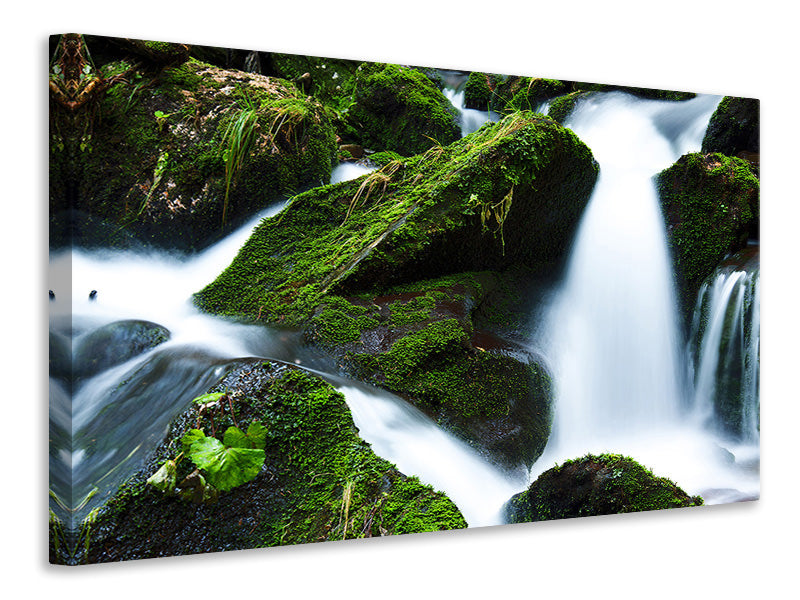 Canvas print Wild waterfall