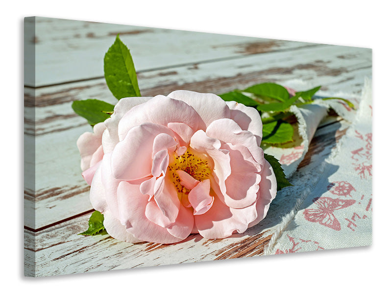 Canvas print Wild rose in pink