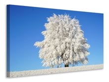 Load image into Gallery viewer, Canvas print Winter tree
