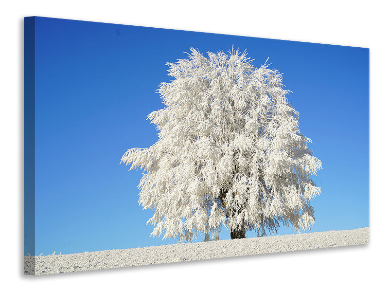 Canvas print Winter tree