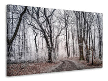 Load image into Gallery viewer, Canvas print Wintry forest
