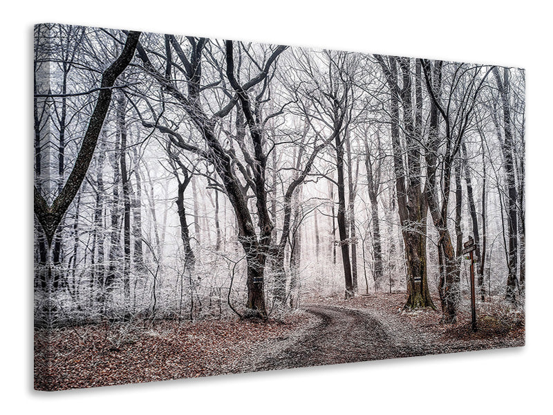 Canvas print Wintry forest