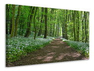 Canvas print We love the summer in the woods