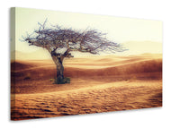 Canvas print desert storm