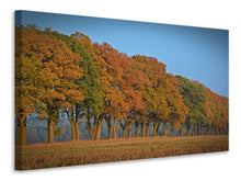 Load image into Gallery viewer, Canvas print Beautiful autumn
