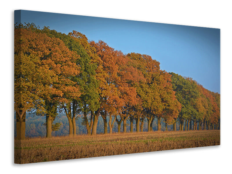 Canvas print Beautiful autumn