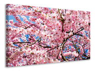 Canvas print Wonderful Japanese cherry
