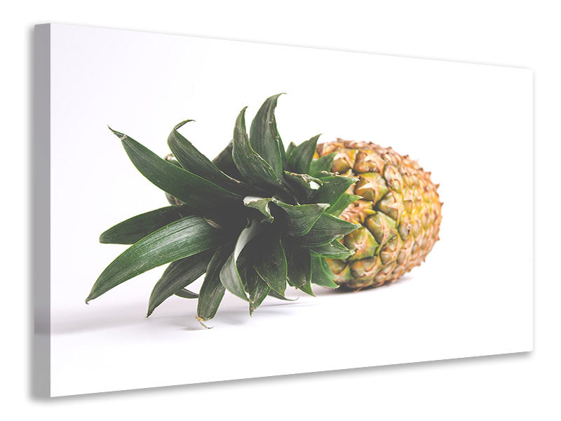 Canvas print XL pineapple