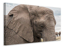 Load image into Gallery viewer, Canvas print XL elephant
