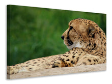 Load image into Gallery viewer, Canvas print XL cheetah
