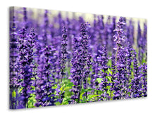 Load image into Gallery viewer, Canvas print XL lavender
