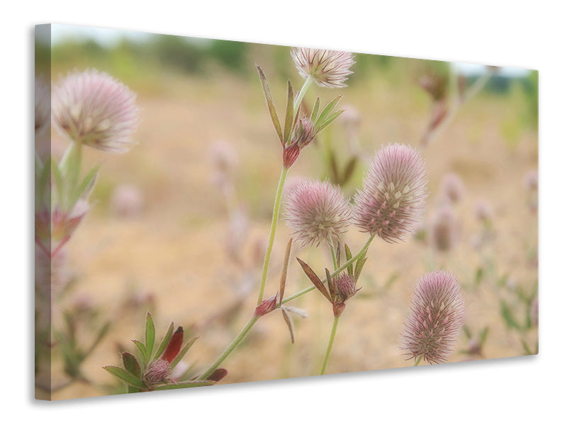 Canvas print Delicate flowers