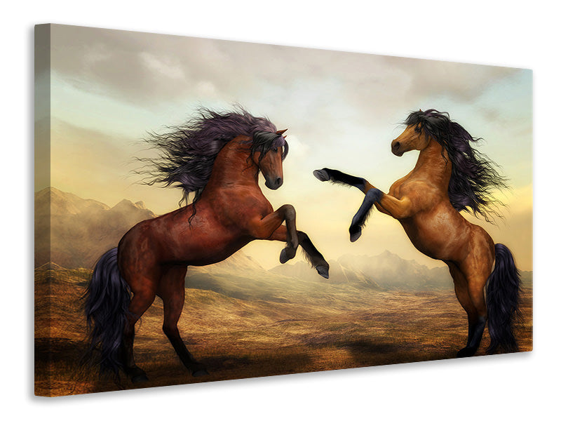 Canvas print Two wild horses