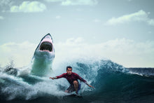 Load image into Gallery viewer, Photo Wallpaper Attention shark!
