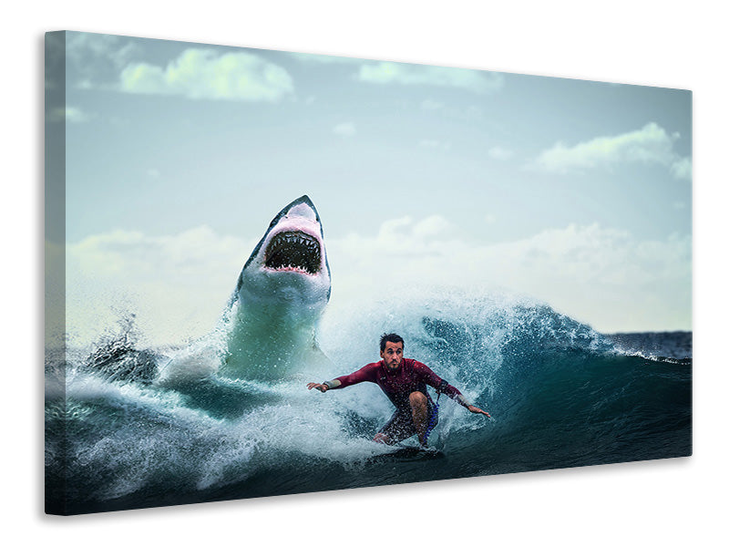 Canvas print Attention shark!