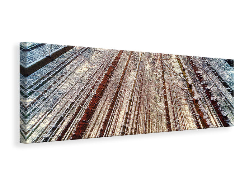 Panoramic Canvas Print Trees in the snow