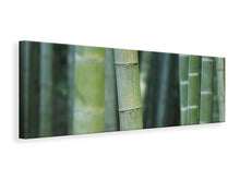 Load image into Gallery viewer, Panoramic Canvas Print Bamboo in XXL
