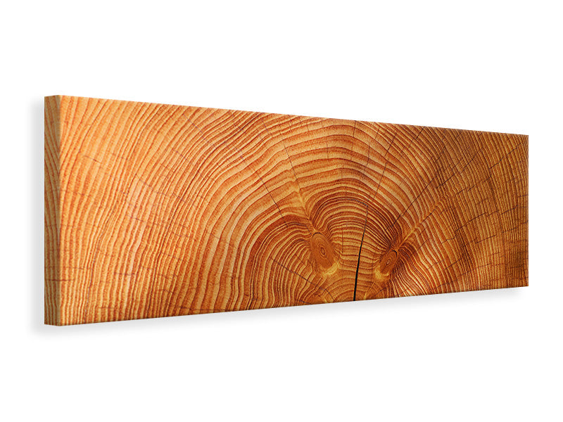 Panoramic Canvas Print tree rings