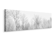 Panoramic Canvas Print Birches in the snow